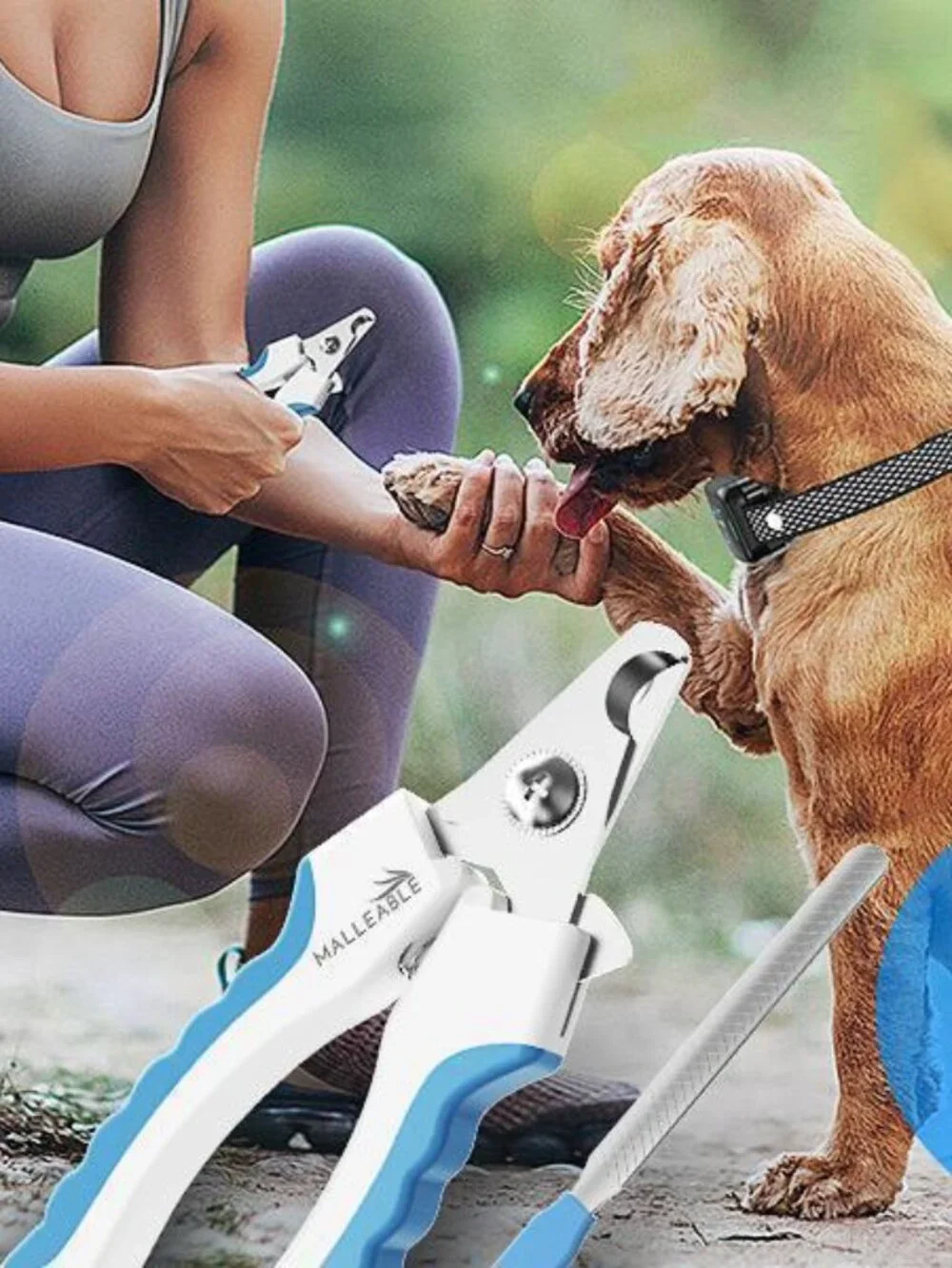 3-in-1 Dog Training & Grooming Kit | Adjustable Bark Collar, Nail Clipper & Nail